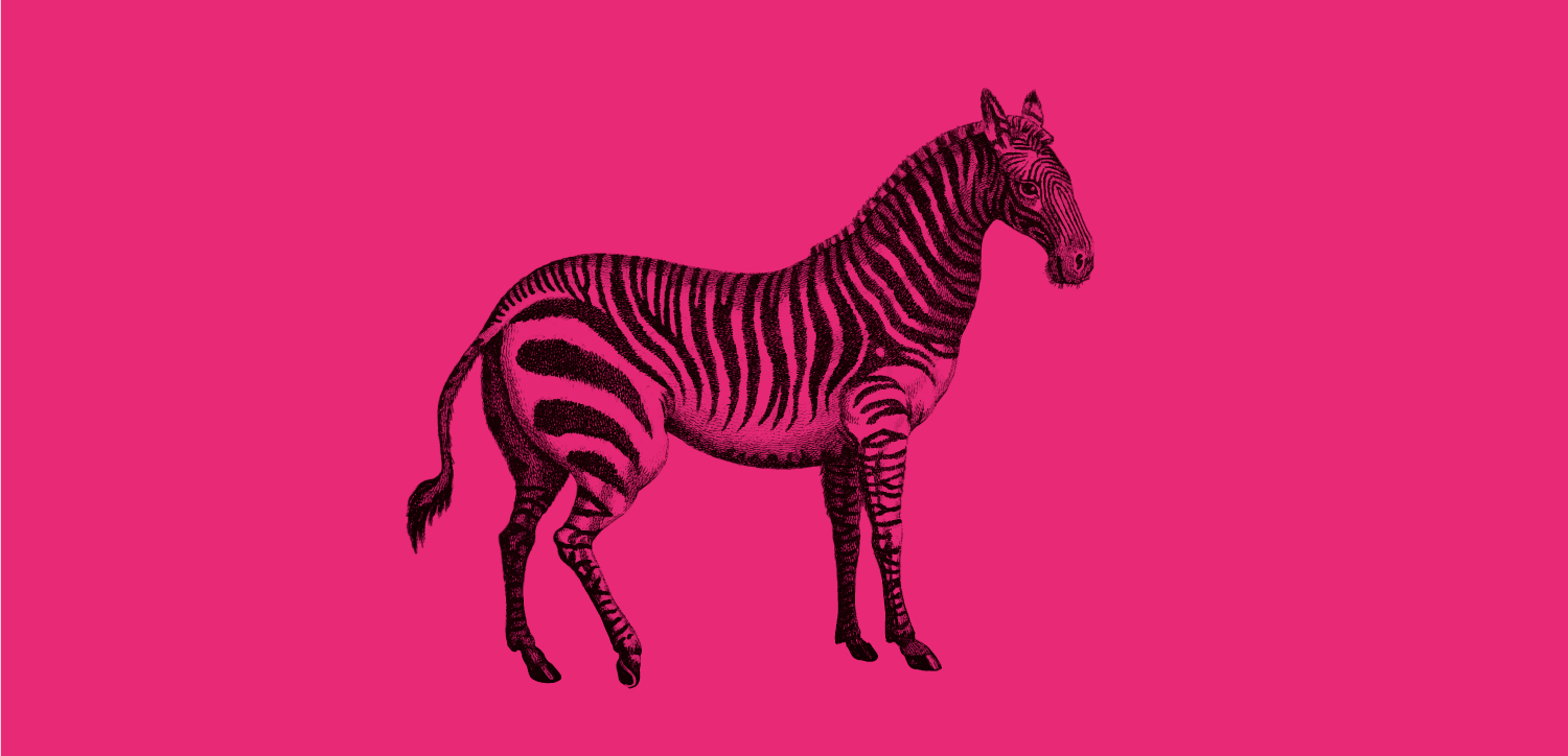 Carlos Cantabrana. Diseñador Gráfico Pamplona. Identidad Visual